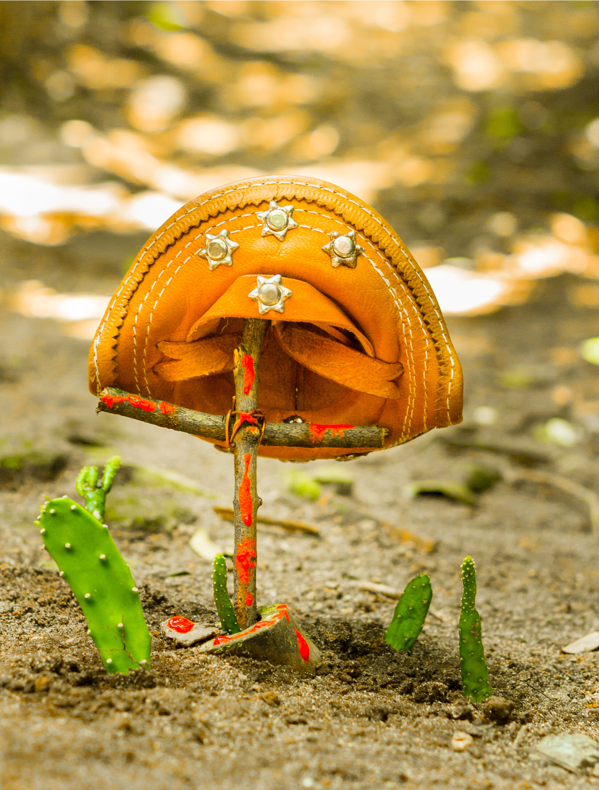 ALESSANDRO FERNANDES _ SEARA VERMELHA _ZE TREVOADA - MUITO SOFRERA E MUITOS MATARA_